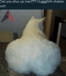 xnxx gyatt
